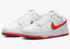 Nike Nike Dunk Low Retro DV0831-103