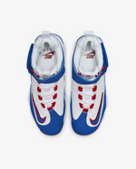 Nike Air Griffey Max 1 (GS) DX3724-100